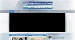 Desktop Screenshot of endojamaica.com